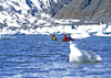 Alaska - Juneau: kayaking - Menden Hall glacier (photo by A.Walkinshaw)