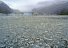 Alaska - Glacier Bay NP: glacier icefield - photo by A.Walkinshaw