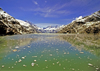 Alaska - Glacier Bay NP: water reflection - photo by A.Walkinshaw