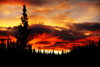 Brooks range, Alaska: a tornado in at sunset on a Brooks range forest - photo by E.Petitalot