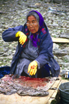 Brooks range, Alaska: Athabascan old woman preparing salmon - photo by E.Petitalot
