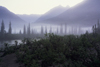 Brooks range, Alaska: misty morning - photo by E.Petitalot