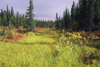 Brooks range, Alaska: nice colours of autumn - photo by E.Petitalot