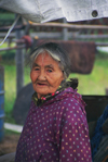 Alaska - North - Brooks range - old Athabascan woman in Ambler village - photo by E.Petitalot