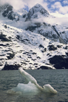 Alaska - Glacier bay - iceberg - photo by E.Petitalot