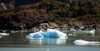 Alaska's Inside Passage - Tracy Arm Fjord : small iceberg (photo by Robert Ziff)
