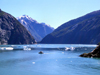 Alaska's Inside Passage - Tracy Arm Fjord: noon on the fjord (photo by Robert Ziff)