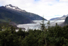 Alaska - Juneau: Mendenhall Glacier (photo by Robert Ziff)