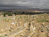 Algeria / Algerie - Bou Saada: in the cemetery - Cementerio,Cimetire,Pemakaman,Cimitero,Begraafplaats,Gravlund,Chimetyire,Cmentarz,Cemitrio,Hautausmaa, Kyrkogard - photo by J.Kaman
