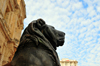 Oran - Algrie: lion a la Mairie d'Oran, Wahran, signifiant en arabe 'deux lions' - Hotel de Ville - Place du 1er Novembre 1954 - Place d'Armes - photo par M.Torres