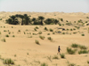 Algrie - Dsert du Sahara: petite oasis - photographie par J.Kaman