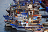 Algiers / Alger - Algeria: coastal fishing vessels - fishing harbour| bateaux de pche ctire - Mle de Pche - Pcherie - photo by M.Torres