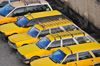Alger - Algrie: taxis collectifs Peugeot  proximit de la gare centrale - photo par M.Torres