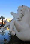 Alger - Algrie: fontaine avec chevaux de mer mythiques - Bd Amara Rachid - Bab-el-Oued - photo par M.Torres