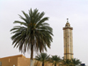 Algeria / Algerie - M'zab - Ghardaa wilaya: minaret and palm tree - photo by J.Kaman