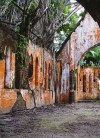 Ross island: ruins of the church (photo by G.Frysinger)