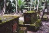India - Andaman islands - Ross island: British graves (photo by G.Frysinger)