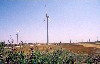 Aragon - La Muela: windmill forest (photo by M.Torres)