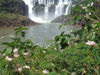 Argentina - Iguazu Falls - falls and vegetation - images of South America by M.Bergsma