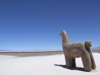 Argentina - Salta province - Salinas Grandes -  Vicua statue - images of South America by M.Bergsma