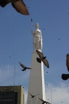 Argentina - Buenos Aires: Plaza de Mayo - Obelisk and doves - obelisco (photo by N.Cabana)