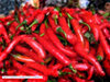 Sicily / Sicilia - Chilies (images by *ve)