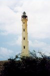 Aruba - California lighthouse (foto by Miguel Torres)