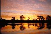 Australia - Murray River (SA): glorious sunset - photo by Rod Eime