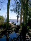Australia - Great Sandy National Park (Queensland): Lake Cootharaba  - photo by Luca Dal Bo