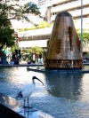 Australia - Brisbane (Queensland): King George Square - photo by Luca Dal Bo