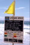 Australia - Gold Coast (Queensland): weather report and flag meanings - photo by  Picture Tasmania/Steve Lovegrove
