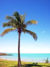 Australia - Broome (WA): town beach - photo by Luca dal Bo