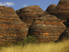 580 Western Australia - Purnululu National Park: the Bungle Bungles - beehive-like mounds - photo by M.Samper)