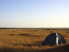 586 Western Australia - backpackers' tent - photo by M.Samper)