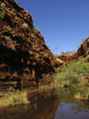 588 Western Australia - Karijini National Park: river and gorge - photo by M.Samper)