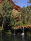 590 Western Australia - Karijini National Park: Fern Pool, Dales Gorges - falls - photo by M.Samper)