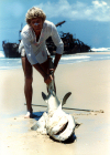 Australia - Fraser Island (Queensland): man and shark - photo by Air West Coast