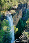 Australia - Morton National Park (NSW): Fitzroy falls - off the main road from the Highlands to Kangaroo Valley - main attraction - photo by S.Lovegrove