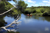 Australia - Hindmarsh River, South Australia: canoeing - photo by G.Scheer