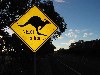 Australia - Australia - Queensland: Kangaroo road signal - photo by Angel Hernandez