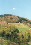 Austria - Mondsee (Obersterreich): uphill (photo by Miguel Torres)