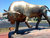 Azerbaijan - Hovsani settlement - Absheron peninsula: golden bull statue on a round-about - kz - photo by N.Mahmudova
