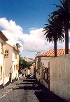 Azores / Aores - Angra do Herosmo: Rua da Rosa - photo by M.Durruti