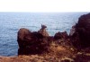 Azores / Aores - Cachorro: formao rochosa - photo by M.Durruti