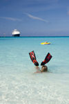 35 Bahamas - Half Moon Cay - swimmer with water fins at Half Moon Cay, Bahamas, beach with Holland America cruise ship ms Veendam in background (photo by David Smith)