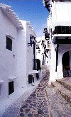 Menorca: Binibeca /  Binibequer - narrow street (photo by Tony Purbrook)