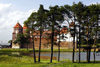 Mir, Karelicy raion, Hrodna Voblast, Belarus: Mir Castle and trees - UNESCO World Heritage Site - photo by A.Dnieprowsky