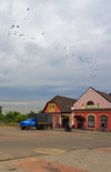 Mir, Karelicy raion, Hrodna Voblast, Belarus: shops and birds - photo by A.Dnieprowsky