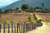 Bhutan - dirt road on the way to Chimi Lhakhang - photo by A.Ferrari