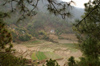 Bhutan - rice paddies - on the way to Khansum Yuelley Namgyal Chorten - photo by A.Ferrari